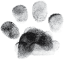 Paw icon